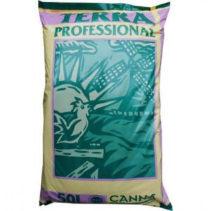 Canna-terra.jpg