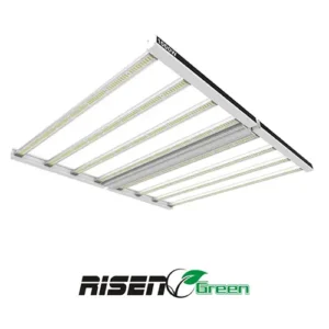 foco-1000w-led-pro-lighting-risen-green