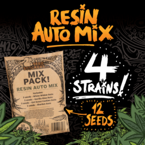 resin-auto-mix-1.png